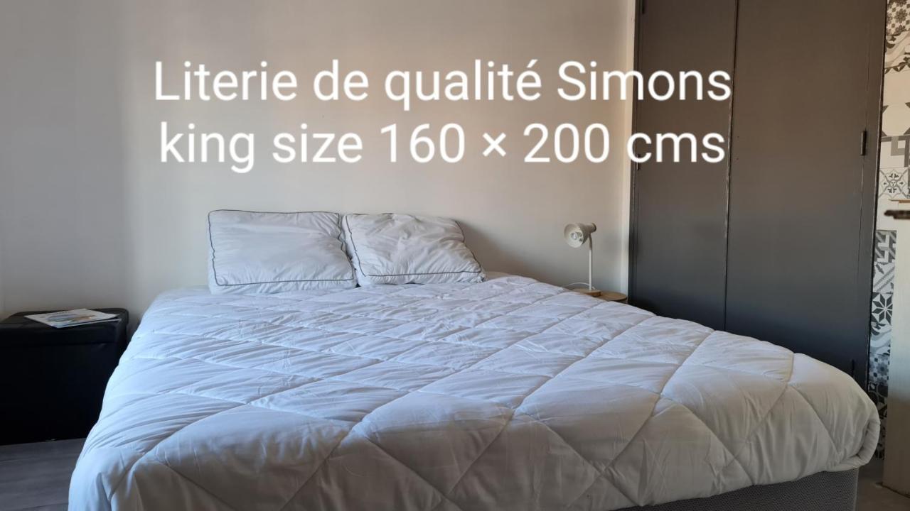 Le De La Republique Apartment Agde