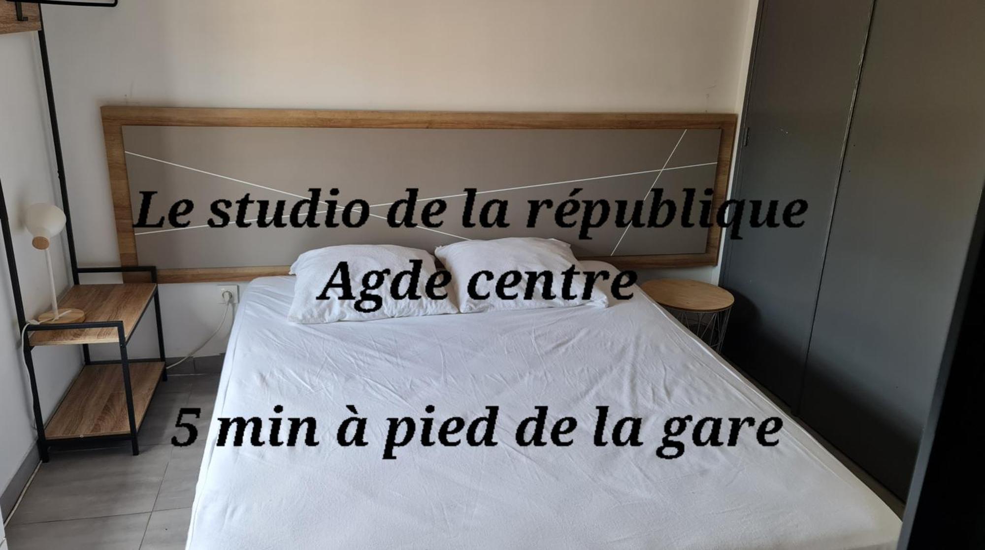 Le De La Republique Apartment *